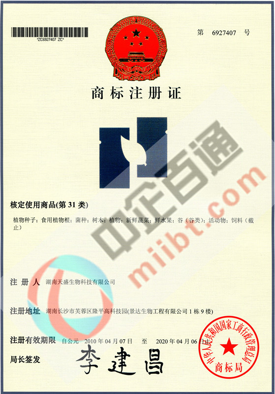 某公司第31类商标注册证书