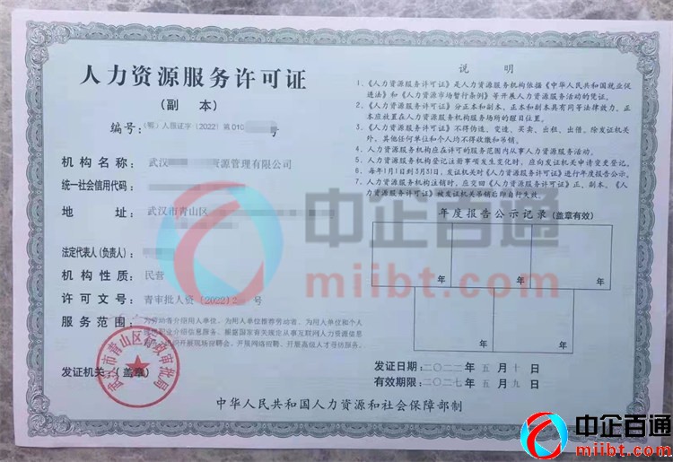 湖北武汉2022年人力资源许可证样本