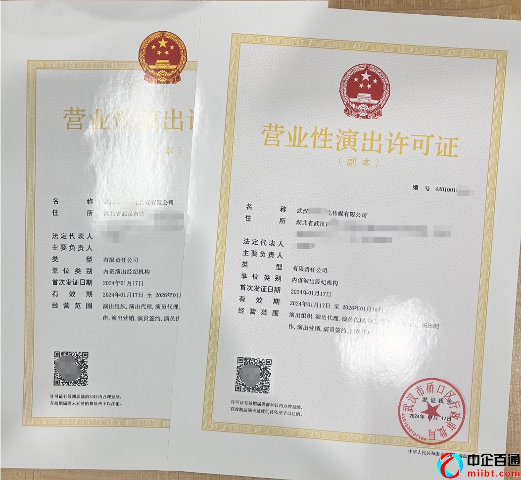 武汉营业性演出经营许可证样例（2024年1月下证）
